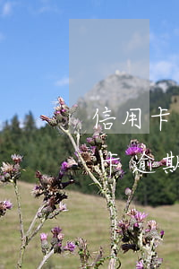 信用卡逾期被起訴能在央企工作嗎-有信用卡逾期被起訴的嗎