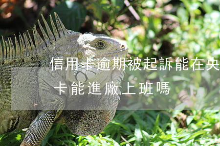 信用卡逾期被起訴能在央企工作嗎-欠信用卡能進廠上班嗎