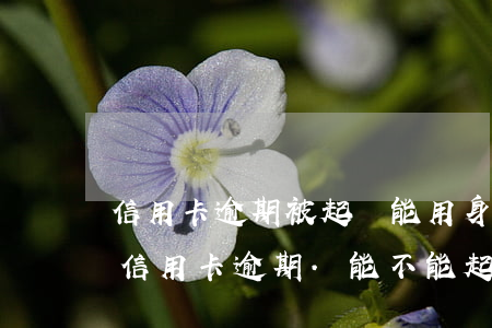 信用卡逾期被起訴能用身份證嗎(別人用自己信用卡逾期.能不能起訴)