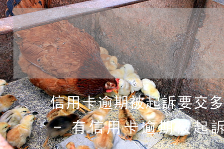 信用卡逾期被起訴要交多少費(fèi)用-有信用卡逾期被起訴的嗎