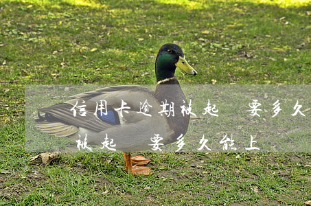 信用卡逾期被起訴要多久能上門(信用卡逾期被起訴要多久能上門)