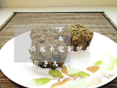 信用卡逾期被起訴要多久開庭(欠信用卡立案后多久開庭)