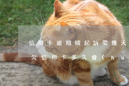 信用卡逾期被起訴要幾天能結(jié)案 欠信用卡多久會(huì)起訴