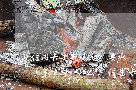信用卡逾期被起訴要承擔(dān)律師費(fèi)么-信用卡逾期被起訴要承擔(dān)律師費(fèi)么