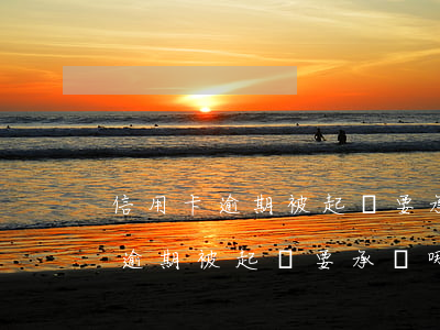 信用卡逾期被起訴要承擔哪些費用-信用卡逾期被起訴要承擔哪些費用呢