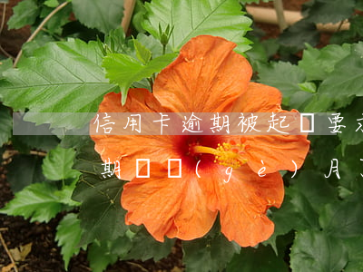 信用卡逾期被起訴要求全部還完(我信用卡逾期幾個(gè)月了他們說要告我上法院)
