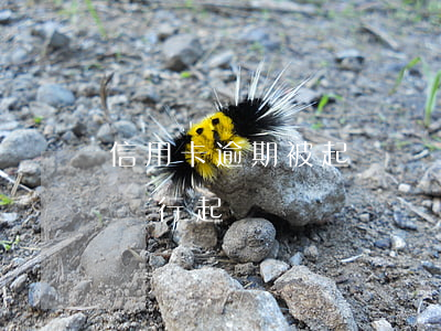 信用卡逾期被起訴記錄(怎么查信用卡逾期被銀行起訴)