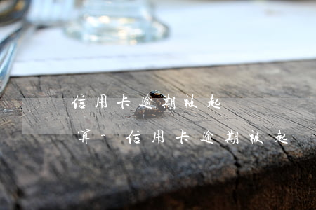 信用卡逾期被起訴訴訟費(fèi)是怎么算-信用卡逾期被起訴訴訟費(fèi)是怎么算的