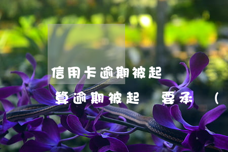 信用卡逾期被起訴訴訟費(fèi)是怎么算(逾期被起訴要承擔(dān)訴訟費(fèi)嗎)