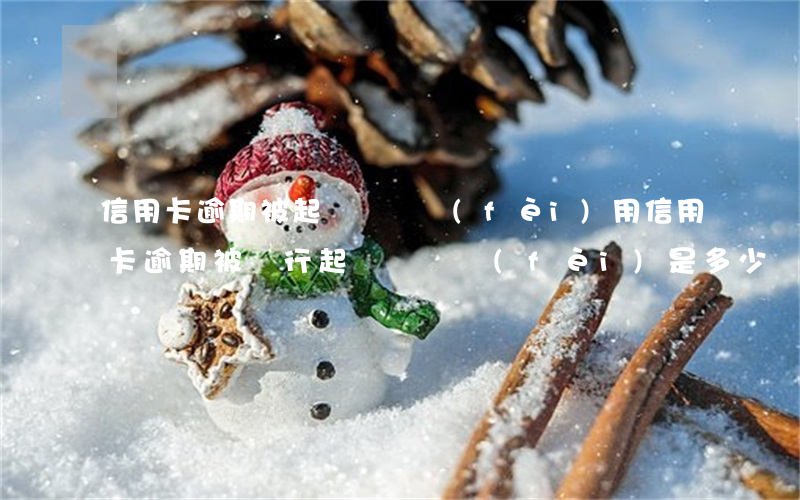 信用卡逾期被起訴訴訟費(fèi)用(信用卡逾期被銀行起訴,訴訟費(fèi)是多少)