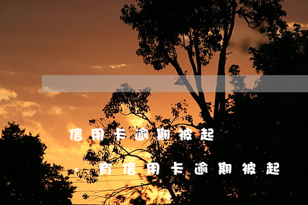 信用卡逾期被起訴訴訟費誰承擔(dān)-有信用卡逾期被起訴的嗎