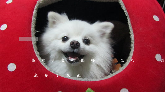 信用卡逾期被起訴該怎么準備(刑拘了信用卡逾期了怎么辦)