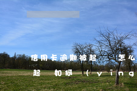 信用卡逾期被起訴該怎么答辯(信用卡逾期被起訴如何應(yīng)訴)