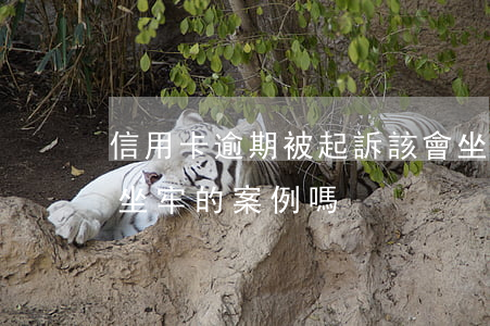 信用卡逾期被起訴該會坐牢嗎(有信用卡逾期坐牢的案例嗎)