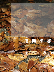 信用卡逾期被起訴請不起律師-有律師聯(lián)系我說信用卡逾期起訴了