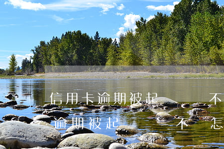 信用卡逾期被起訴賬單不對怎么辦-信用卡逾期被起訴賬單不對怎么辦呢