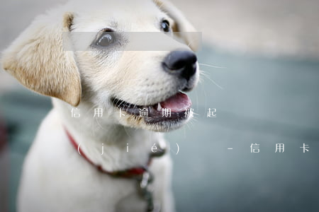 信用卡逾期被起訴賬戶會(huì)被凍結(jié)嗎-信用卡逾期被起訴賬戶會(huì)被凍結(jié)嗎知乎