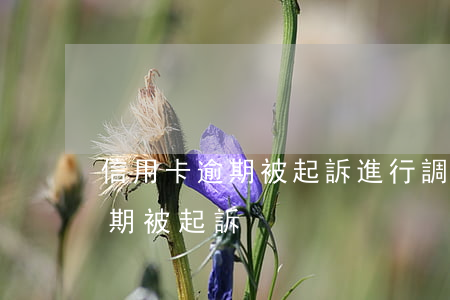 信用卡逾期被起訴進行調解(因服刑信用卡逾期被起訴)