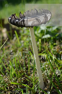 信用卡逾期被起訴還可以協(xié)商還錢(信用卡逾期被起訴還可以協(xié)商還錢)