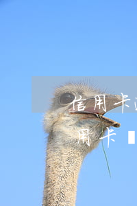 信用卡逾期被起訴還完了還能用嗎(起訴了信用卡還可以用嗎)