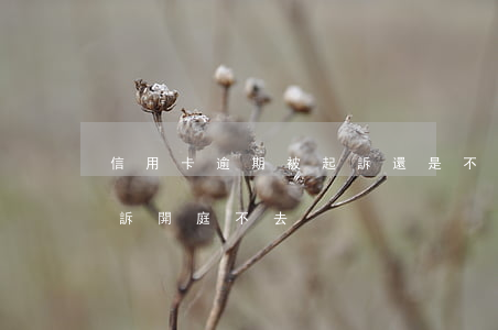 信用卡逾期被起訴還是不出庭(欠信用卡被起訴開庭不去)