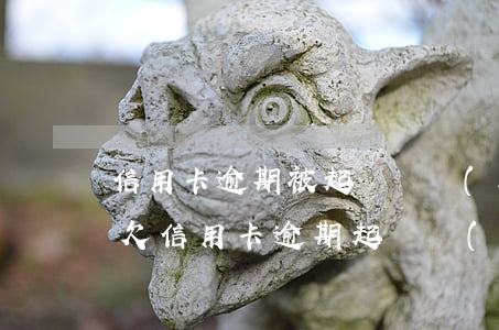 信用卡逾期被起訴還會(huì)被罰款嗎(欠信用卡逾期起訴會(huì)拘留嗎)