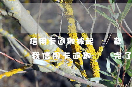 信用卡逾期被起訴還款會(huì)影響嗎(我信用卡逾期過還完了貸款有影響嗎)