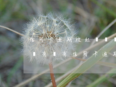 信用卡逾期被起訴還沒還會(huì)怎么樣(有沒有信用卡逾期被起訴的)