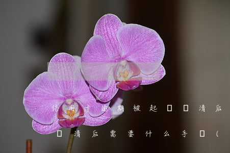 信用卡逾期被起訴還清后(信用卡逾期被起訴還清后需要什么手續(xù)嗎)