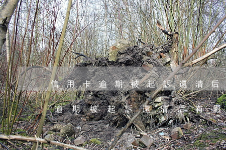 信用卡逾期被起訴還清后有影響嗎-信用卡逾期被起訴還清后有影響嗎知乎