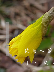 信用卡逾期被起訴還能協(xié)商撤訴嗎-信用卡逾期被起訴還能協(xié)商撤訴嗎?