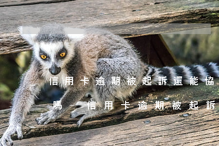 信用卡逾期被起訴還能協(xié)商還款嗎-信用卡逾期被起訴還能協(xié)商還款嗎?