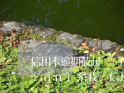 信用卡逾期被起訴還能工作嗎(有律師聯(lián)系我說信用卡逾期起訴了)