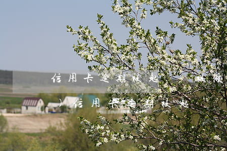信用卡逾期被起訴還被做牢的情節(jié) 信用卡逾期被起訴還被做牢的情節(jié)