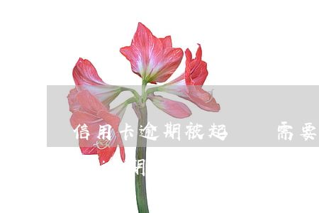 信用卡逾期被起訴還需要簽資料嗎-欠信用卡逾期被起訴