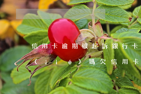 信用卡逾期被起訴銀行卡會(huì)凍結(jié)嗎(欠信用卡被起訴了會(huì)凍結(jié)銀行卡嗎)