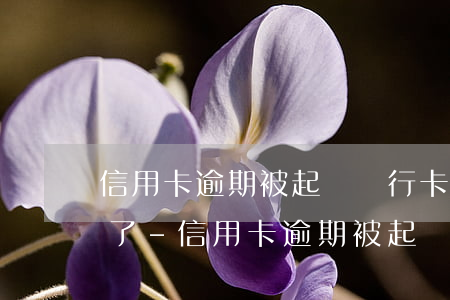 信用卡逾期被起訴銀行卡被凍結(jié)了-信用卡逾期被起訴銀行卡被凍結(jié)了還清后多久能解凍