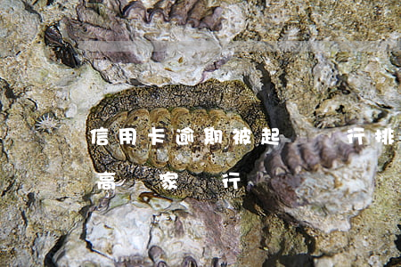 信用卡逾期被起訴銀行排名(逾期后起訴率最高幾家銀行)