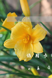 信用卡逾期被起訴銀行說財(cái)產(chǎn)保全-信用卡逾期被起訴銀行說財(cái)產(chǎn)保全是真的嗎