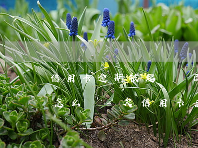 信用卡逾期被起訴錢已經(jīng)還清怎么辦-欠信用卡后被起訴一次性還清