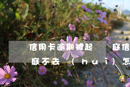 信用卡逾期被起訴開庭(信用卡逾期被起訴開庭不去會(huì)怎么樣)
