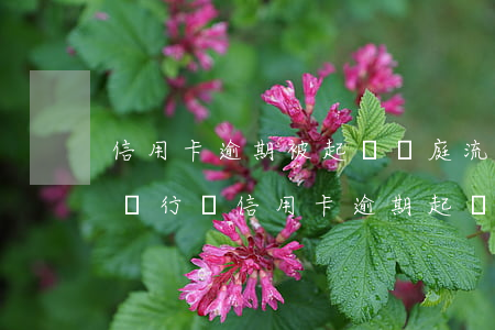 信用卡逾期被起訴開庭流程廣發(fā)-銀行對信用卡逾期起訴流程