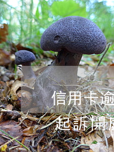 信用卡逾期被起訴開庭要帶什么(欠信用卡被起訴開庭怎么辦)