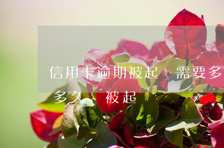 信用卡逾期被起訴需要多久開庭(“信用卡逾期多久會被起訴”)