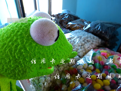 信用卡逾期被起訴需要支付費(fèi)用嗎-信用卡逾期被起訴需要支付費(fèi)用嗎多少錢