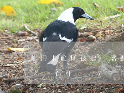 信用卡逾期被起訴需要準(zhǔn)備答辯嗎(有律師聯(lián)系我說信用卡逾期起訴了)
