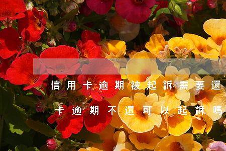 信用卡逾期被起訴需要還利息嗎(朋友借信用卡逾期不還可以起訴嗎)