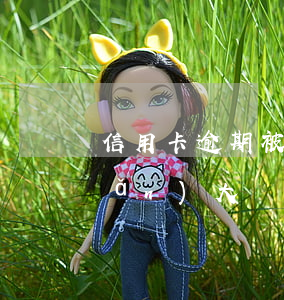 信用卡逾期被起訴風(fēng)險(xiǎn)大嗎(幾十萬信用卡逾期一年被起訴后果會(huì)怎么樣)