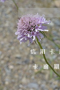 信用卡逾期被起诉了不去可以吗(有没有信用卡逾期被起诉的人)