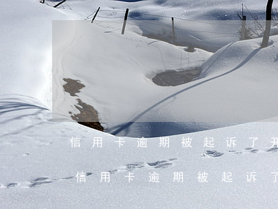 信用卡逾期被起诉了开庭要准备什么材料-信用卡逾期被起诉了开庭要准备什么材料呢